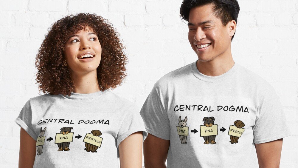 alt_ink's tweet photo. Did you know the Central Dogma design is on Redbubble? Three helpful pups explain the central dogma of molecular biology: DNA --> RNA --> Protein
Link: https://t.co/azInV4vRkP
#sciart #redbubble #artist #science #genetics #phdchat #tshirts #scicomm https://t.co/ImNx7RRQRU
