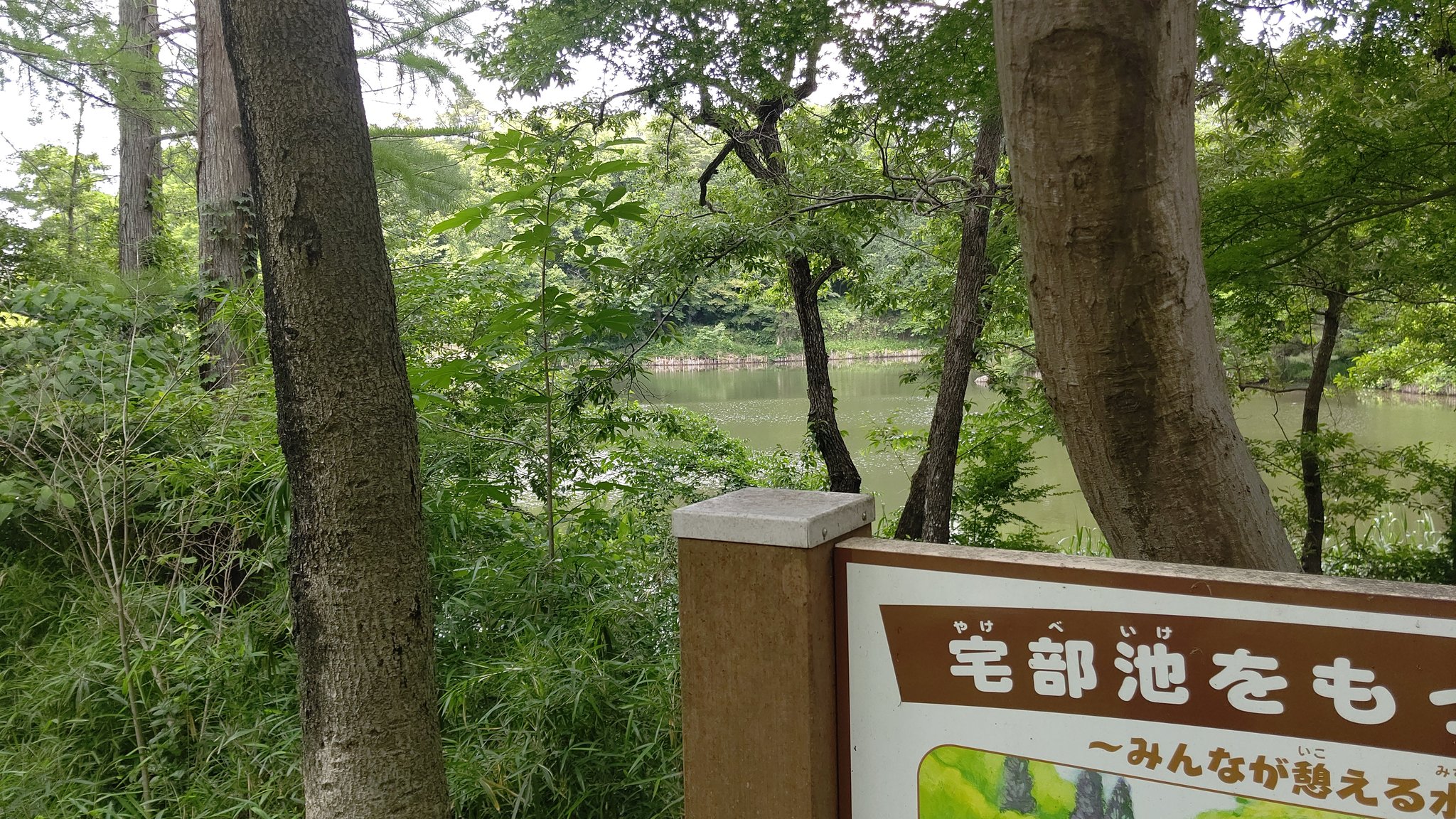 たっちゃん池 Twitter Search Twitter