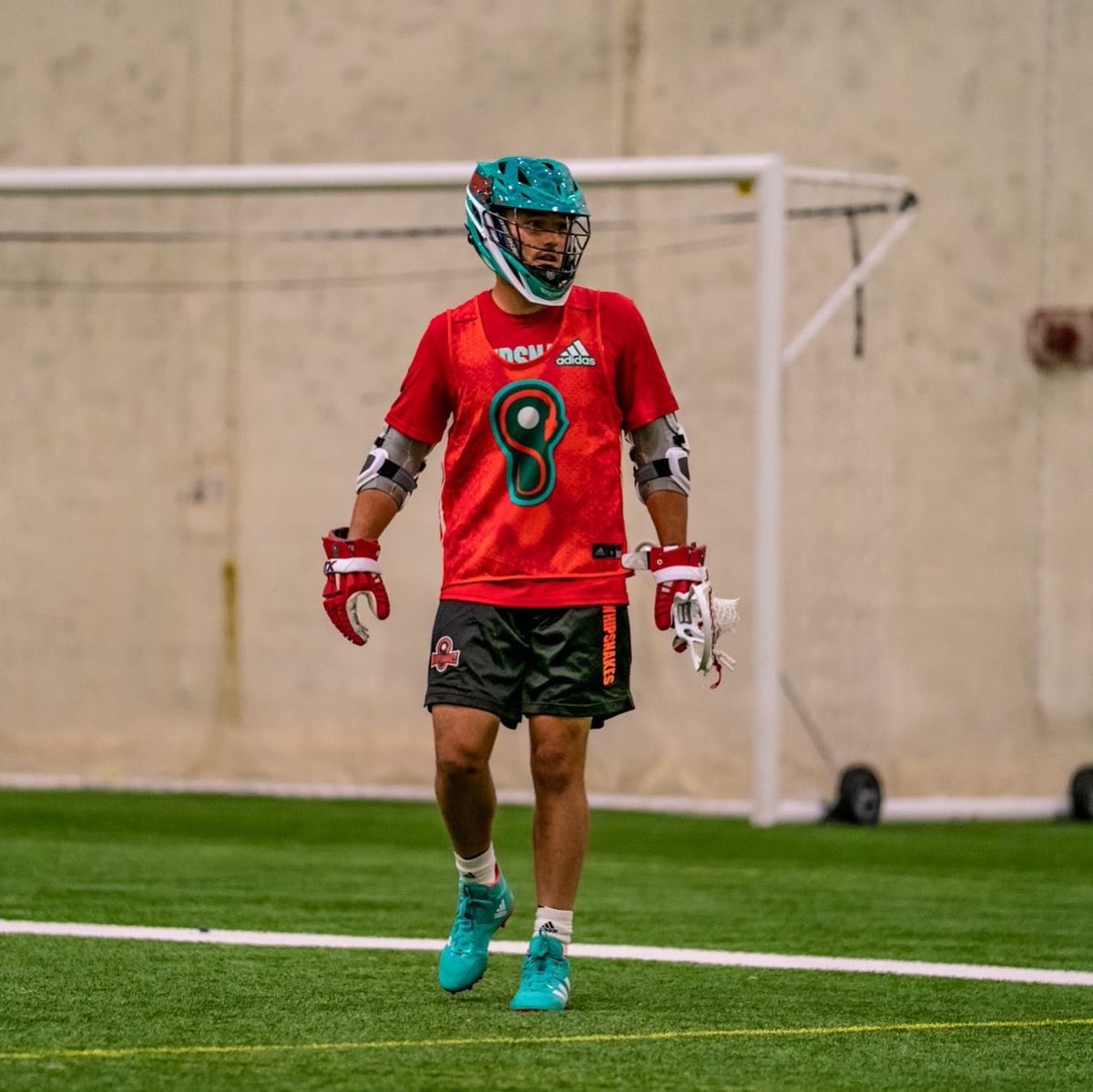 PLLWhipsnakes's tweet photo. We’re back and we’re not satisfied 👑👑 https://t.co/gvfJpxQCdM