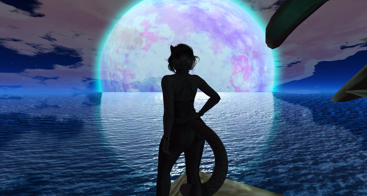 RemiJCrowley's tweet photo. Taken on the sim at IYC Addictions in SL. Amazing landscaping!!! Can't wait for the new chapter to begin tomorrow!
#The_IYC #SecondLife #SLFurry #SecondlifeFurries #SecondlifePhotography https://t.co/r4JLfWIJrN