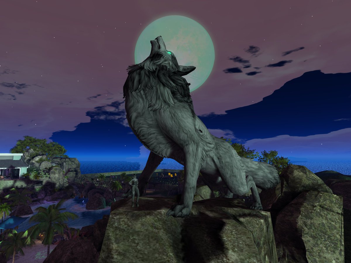 RemiJCrowley's tweet photo. Taken on the sim at IYC Addictions in SL. Amazing landscaping!!! Can't wait for the new chapter to begin tomorrow!
#The_IYC #SecondLife #SLFurry #SecondlifeFurries #SecondlifePhotography https://t.co/r4JLfWIJrN