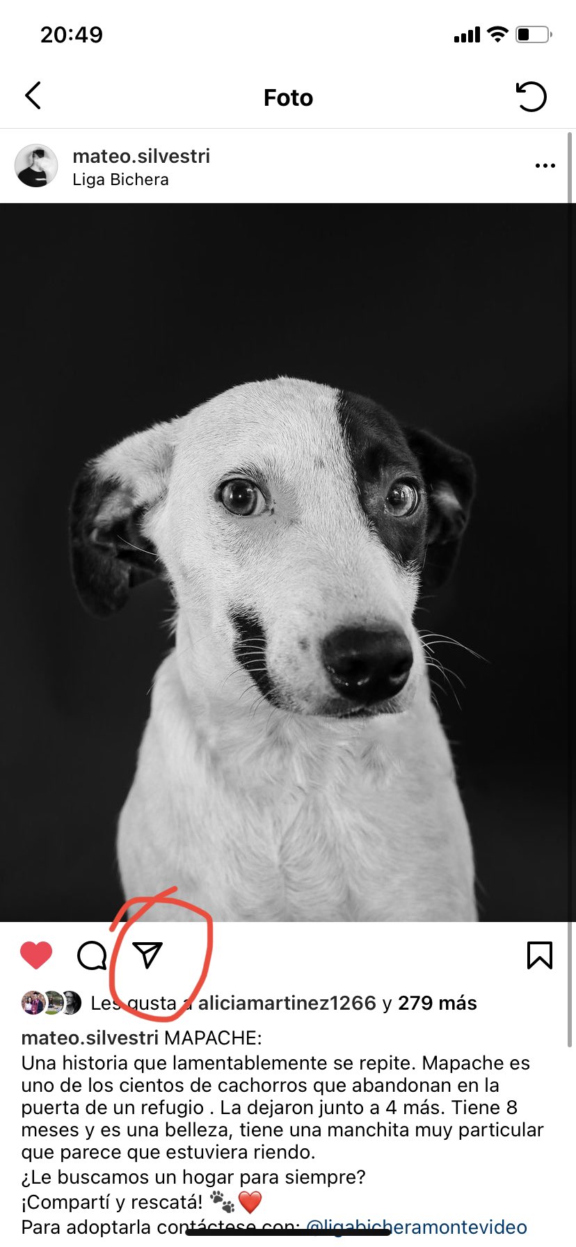 Sergio Silvestri on X: \, image size:828x1792