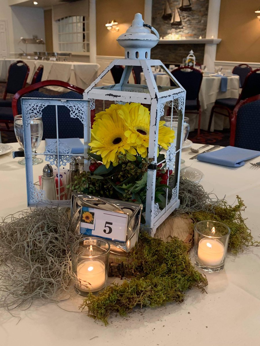 Silver Birches tweet media