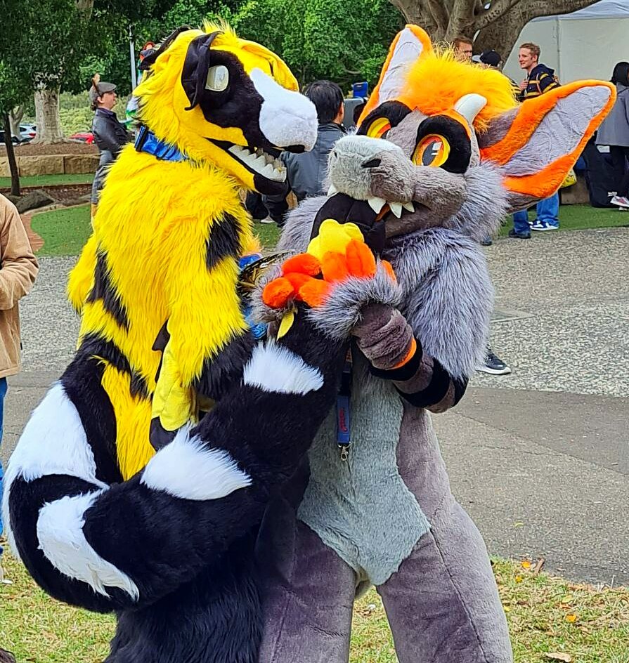 Confoxtion's tweet photo. Thank you #midmaymeet & everyone else who made my 1st time such an awesome experience, especially
@DARk_W0LF2529
@Katamariredboy
@CruiseTheDingo
@ZeePurpleFox
@SaltyRaz95
&
@OzzyDingo
@ThetaBetaRawr
@QuietThePro's housewarming party!
πΈ @Foxyrox2473 | @/sir_herp_a_derp https://t.co/2TVaR8l7Ug