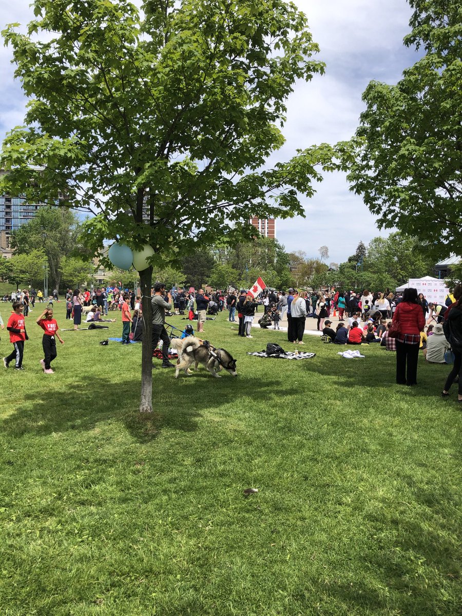 Hey @citymississauga @MayorCrombie , THIS was happening ALL day in Port Credit Memorial Park. Called 311. I was told it was an organized protest against the #stayathome order and #prp were dispersing the crowd. Except they weren’t. 1/2