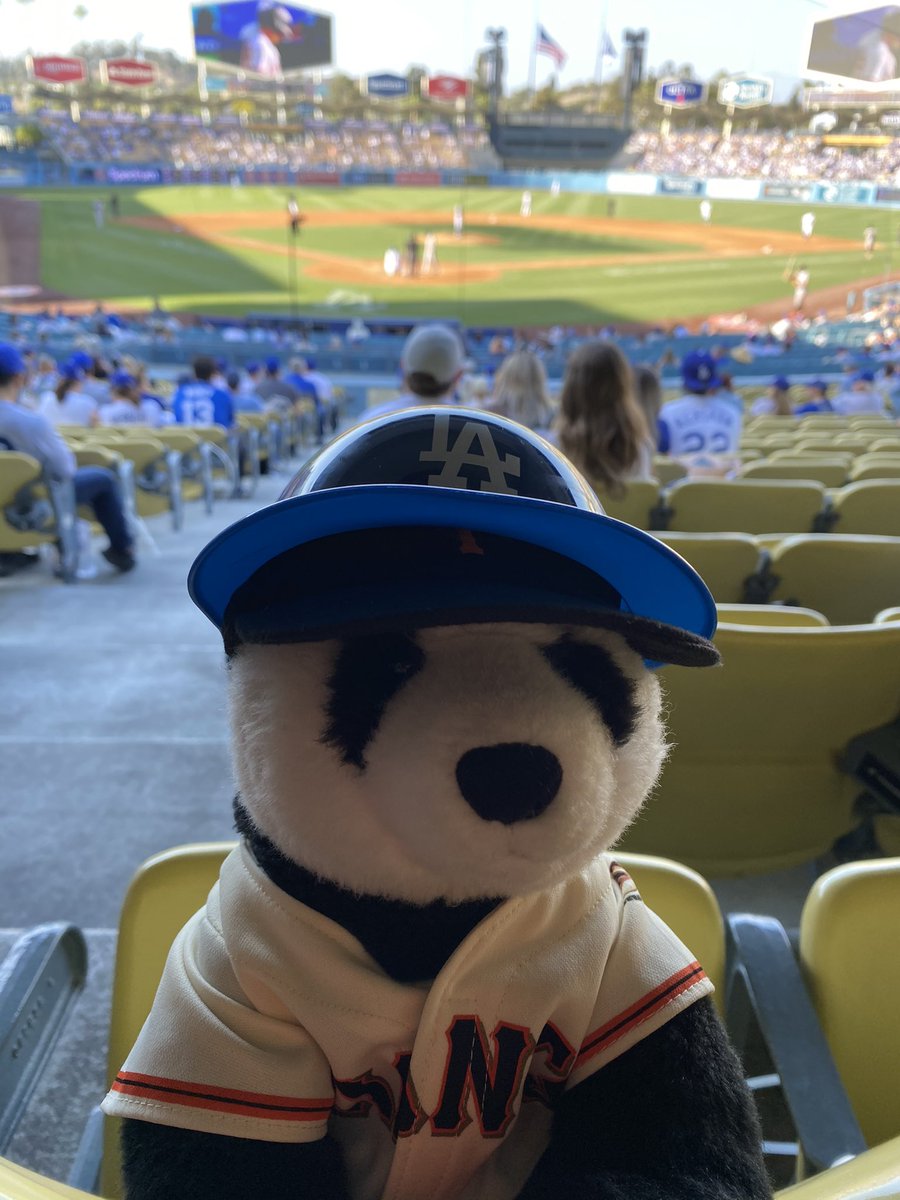 The Panda tweet media