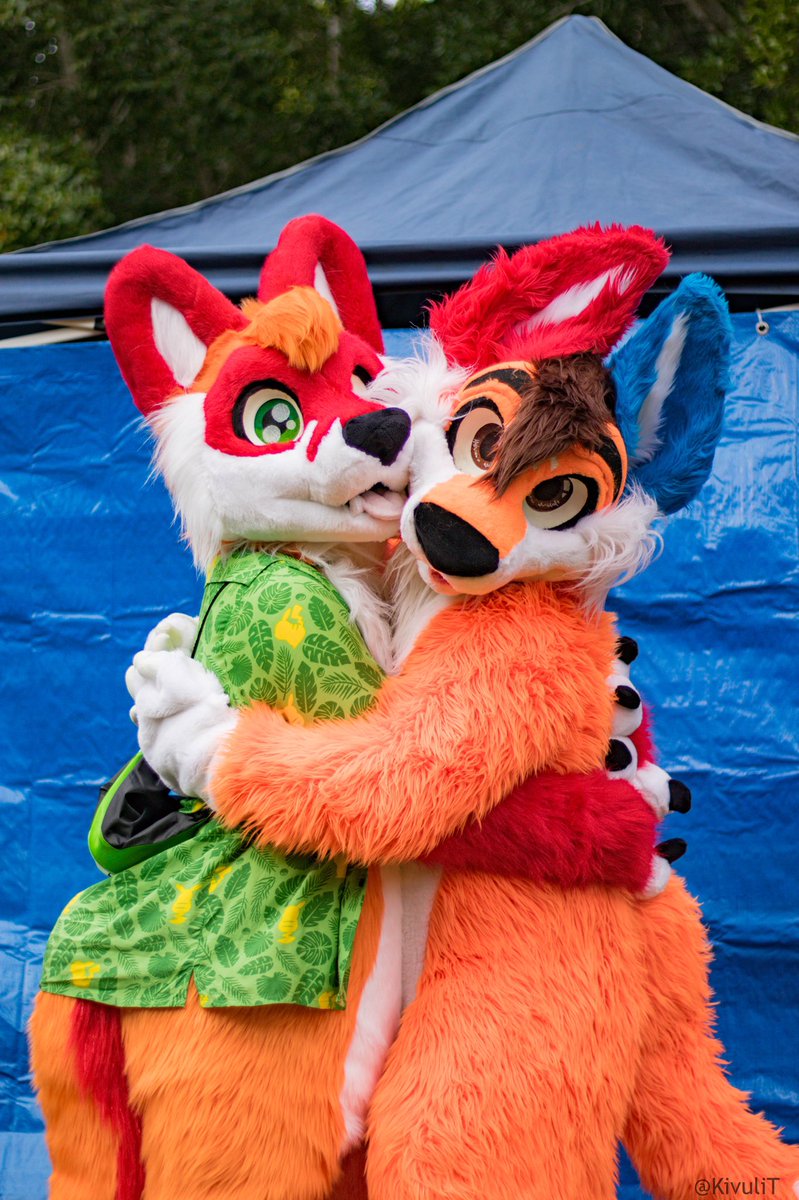 OzziFoxy's tweet photo. Was at #MidMayMeet and saw Molto for the first time and I justhad a grab a cuddle out of him. And also worship dat squishy tum~ x3 π¦β€οΈπ§‘
πΈ: @KivuliT https://t.co/WZJ8oFYTfJ