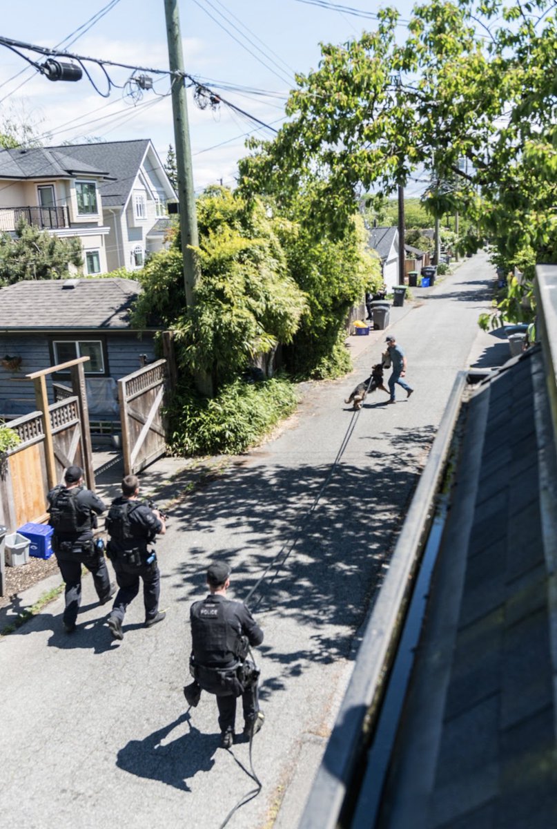 VPDCanine's tweet photo. This week we worked with our #ERT teams on our yearly K9 Advanced Officer Safety Course. Training high risk tactics with the dogs 🐕 

Because #GoodEnough isn’t 

#TrainingDayEveryDay #GoodDog #EmergencyResponseTeam #ERTK9 #TrainForReal https://t.co/u6MtGlETJI