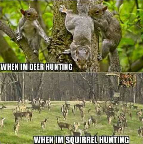 ladderstands's tweet photo. Retweet if this is you!! ๐ฆ๐ฟ
#hitlist #hunting #deer #huntingmemes #truth #squirrelhunting #deerhunting #huntingproblems #squirrels https://t.co/j5l7y2vToD