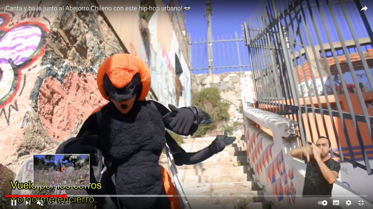 exploravalpo's tweet image. ¡Canta y baila junto al Abejorro Chileno con este hip-hop urbano! 🐝 youtube.com/watch?v=bN5CFj… #Valparaíso #PatrimonioNatural #DiaDelPatrimonio