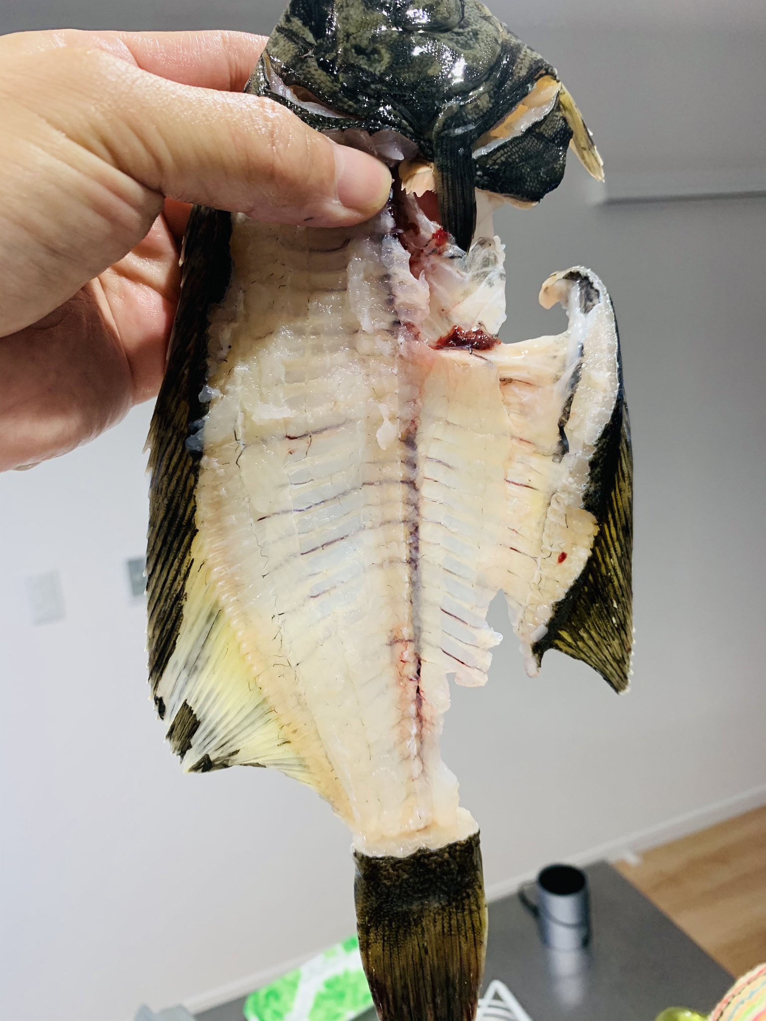 さすらいfishman Fishboyg2f Twitter