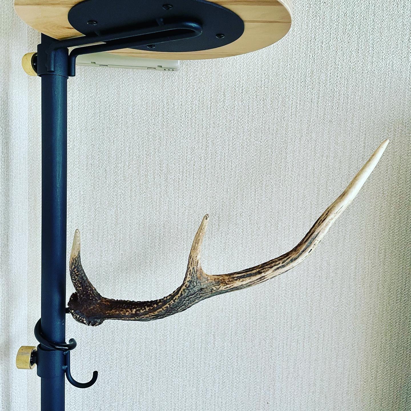 2本セット ビッグサイズ 鹿の角ランタンハンガー （スウェード加工）