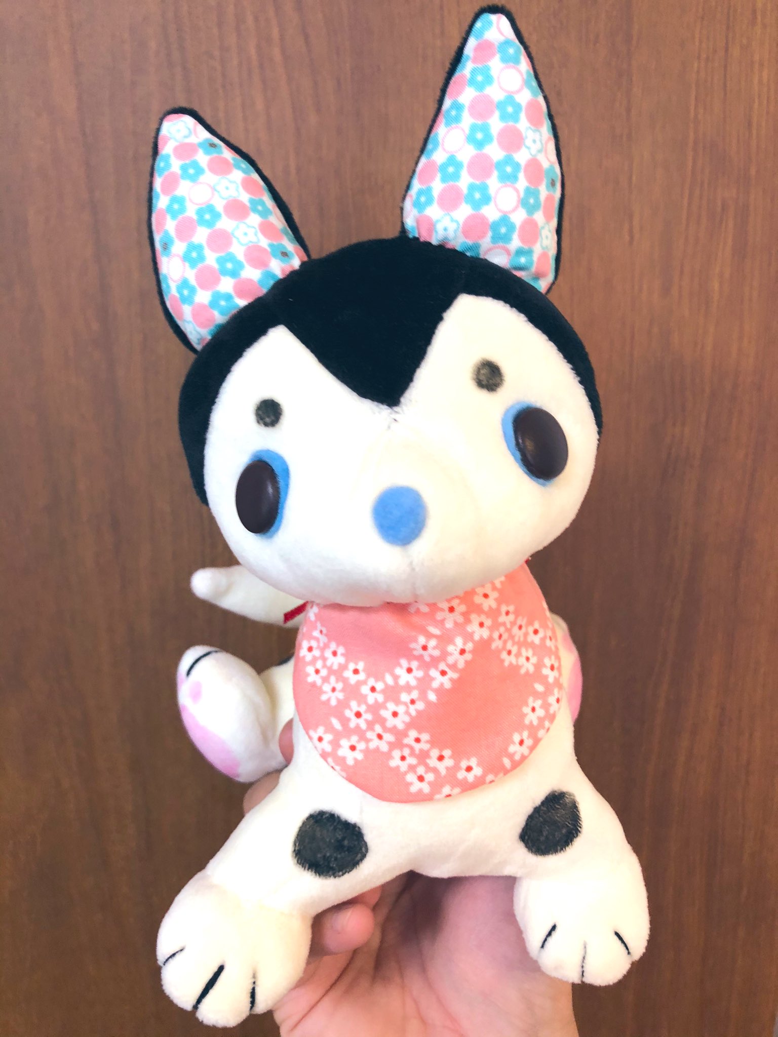 張子犬 Twitter Search Twitter