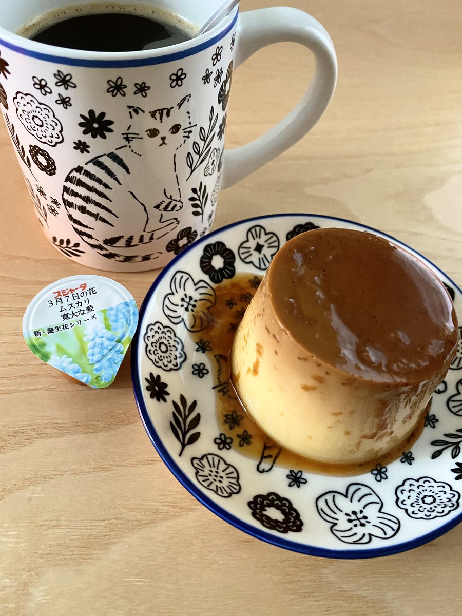 今日のコーヒー☕️とプリン🍮
花言葉は、寛大な愛🌸 