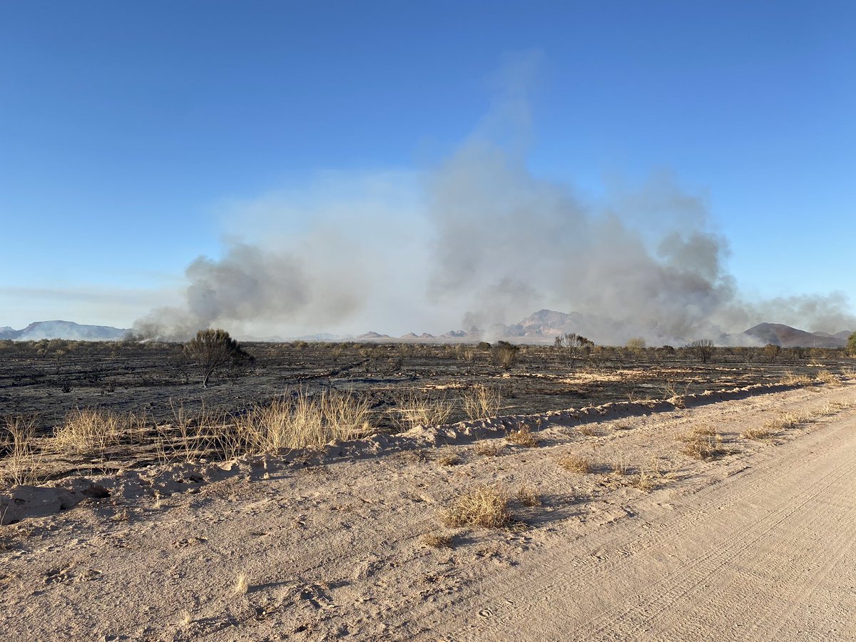 azstateforestry's tweet photo. #CourthouseFire est. 700 acres burning in salt cedar w/n Centennial Wash in Harquahala. Helo making progress on NE corner. Fire has burned out of heavier fuels & fire activity has slowed. SEATS en route, hand crews & add’l engines arrived. #AZFire #AZForestry #MaricopaCounty https://t.co/Ene8bpultn