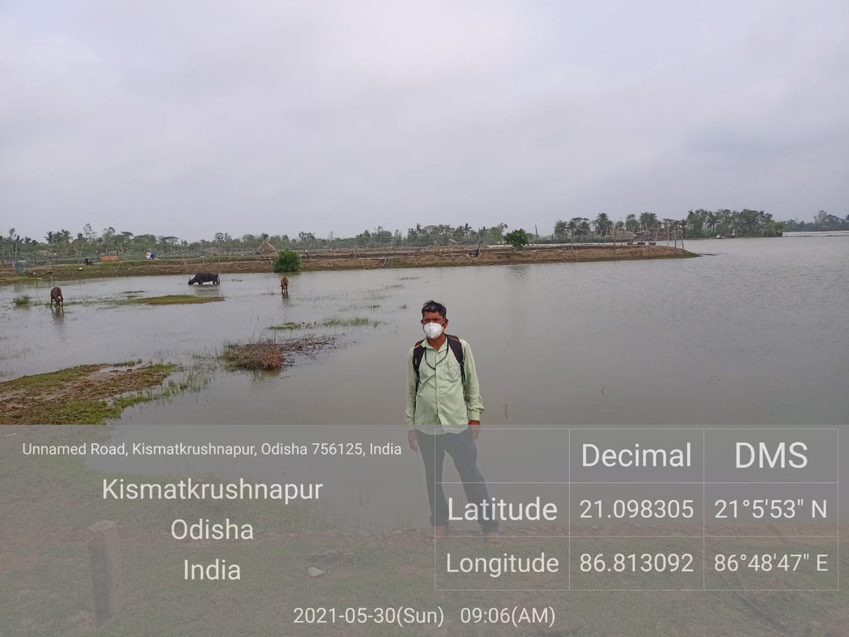 dfo_bhadrak's tweet photo. #CycloneYaas damage assessment at Kismat Krishna Pur GP of Basudevpur block by Fisheries Department of Bhadrak District. @DM_Bhadrak @OdishaFisheries @farddept https://t.co/2KRCwP5woO
