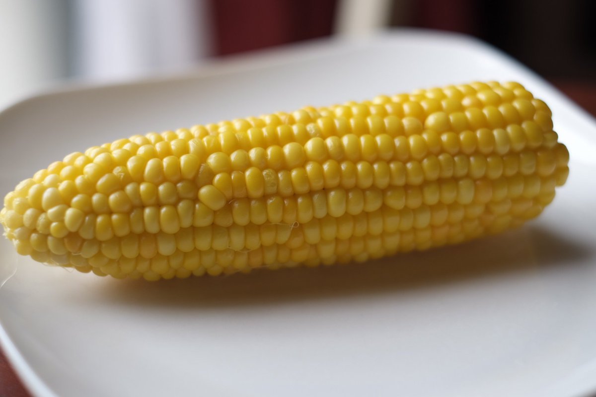 今日も農家さんの所へお邪魔してました🌽
採れたてのトウモロコシをレンジでチン！
トウモロコシは収穫された瞬間から糖度が落ちるらしいので、すぐ食べるのがオススメです😊
