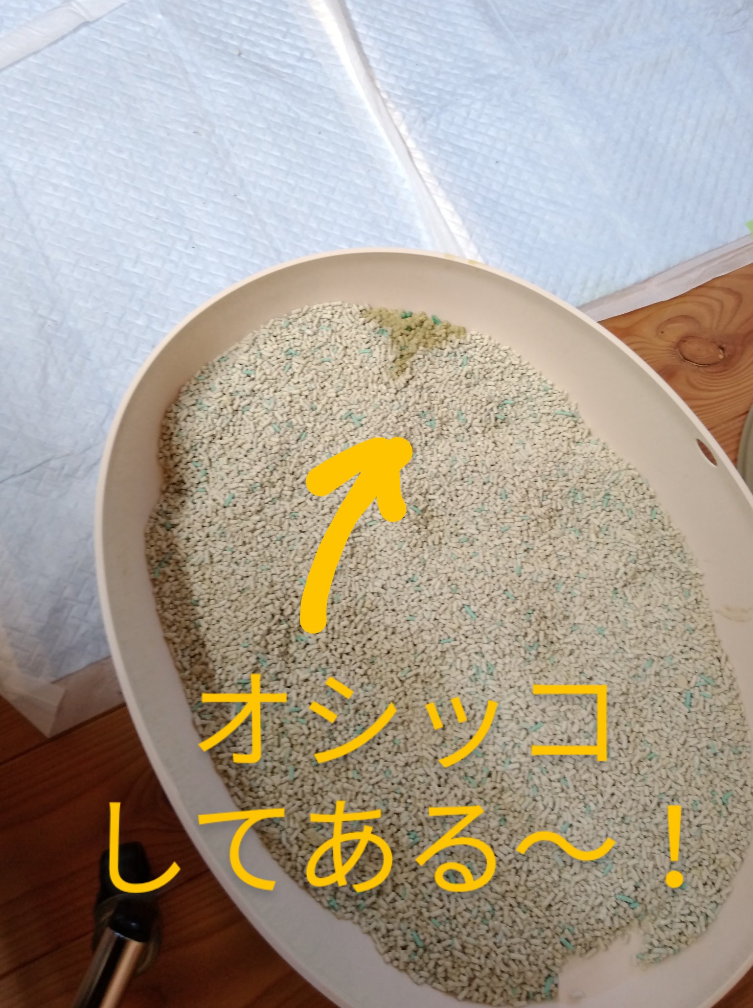 瞳孔開きっぱなし Twitter Search Twitter