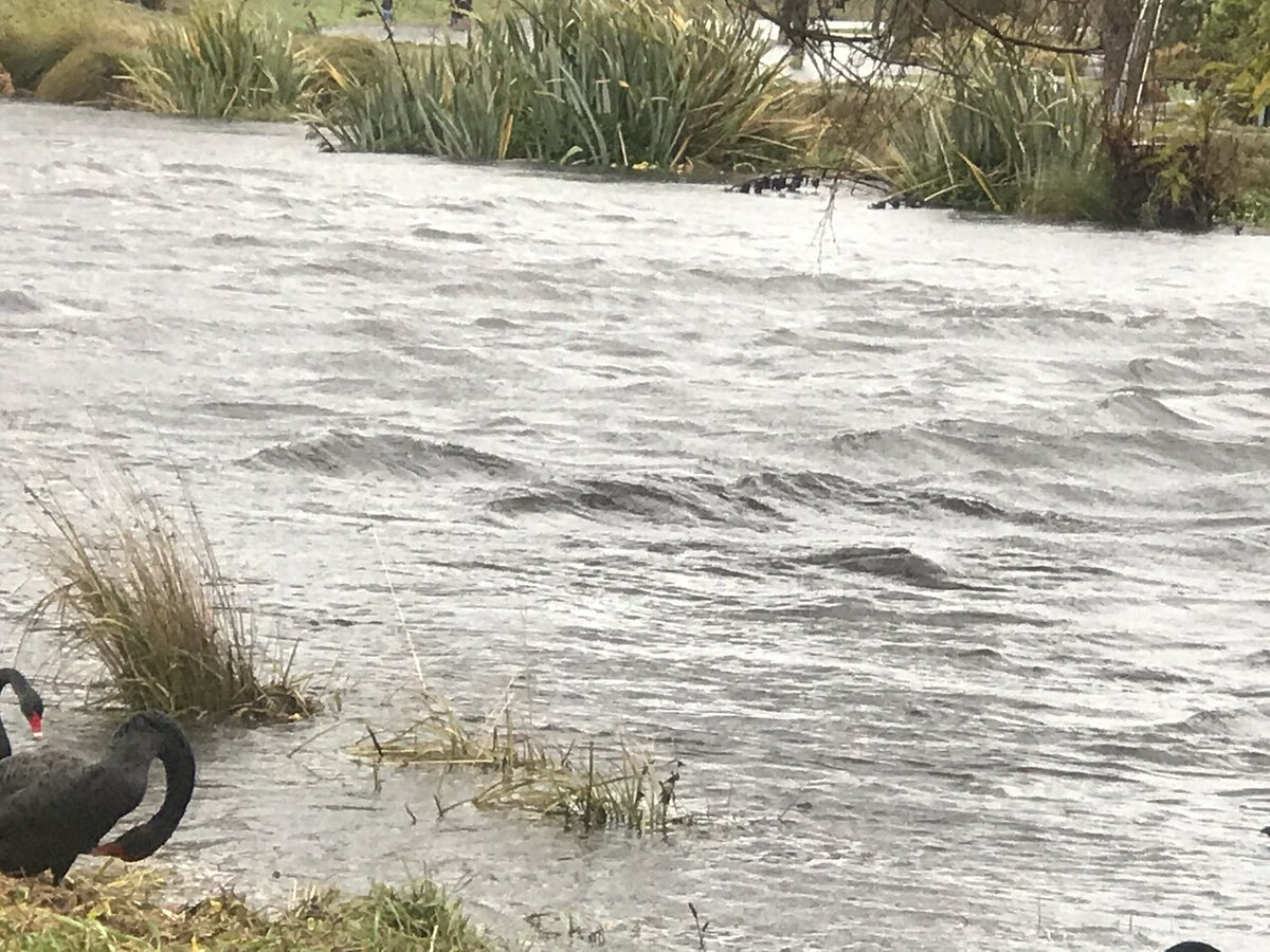 pippy_ms's tweet photo. A bit wild & windy in the Avonside Red Zone #Avonside #Redzone https://t.co/48NnnPO2qB