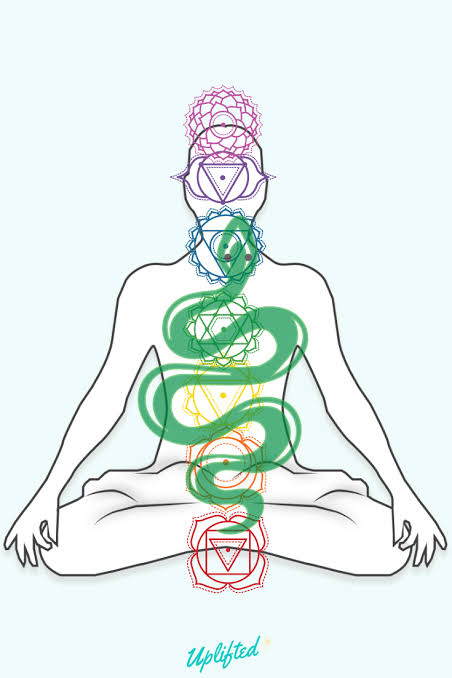 durgeshwaravsk's tweet photo. #NathSectYoga 
Chapter-10
A potent force lies dormant at the base of the spinal column in every human body. Because it is coiled around the base of the spinal column in three and a half spirals, the ancient sages called it ‘Kundalini’, the coiled one (like a snake).... https://t.co/MNuGCzyEcZ