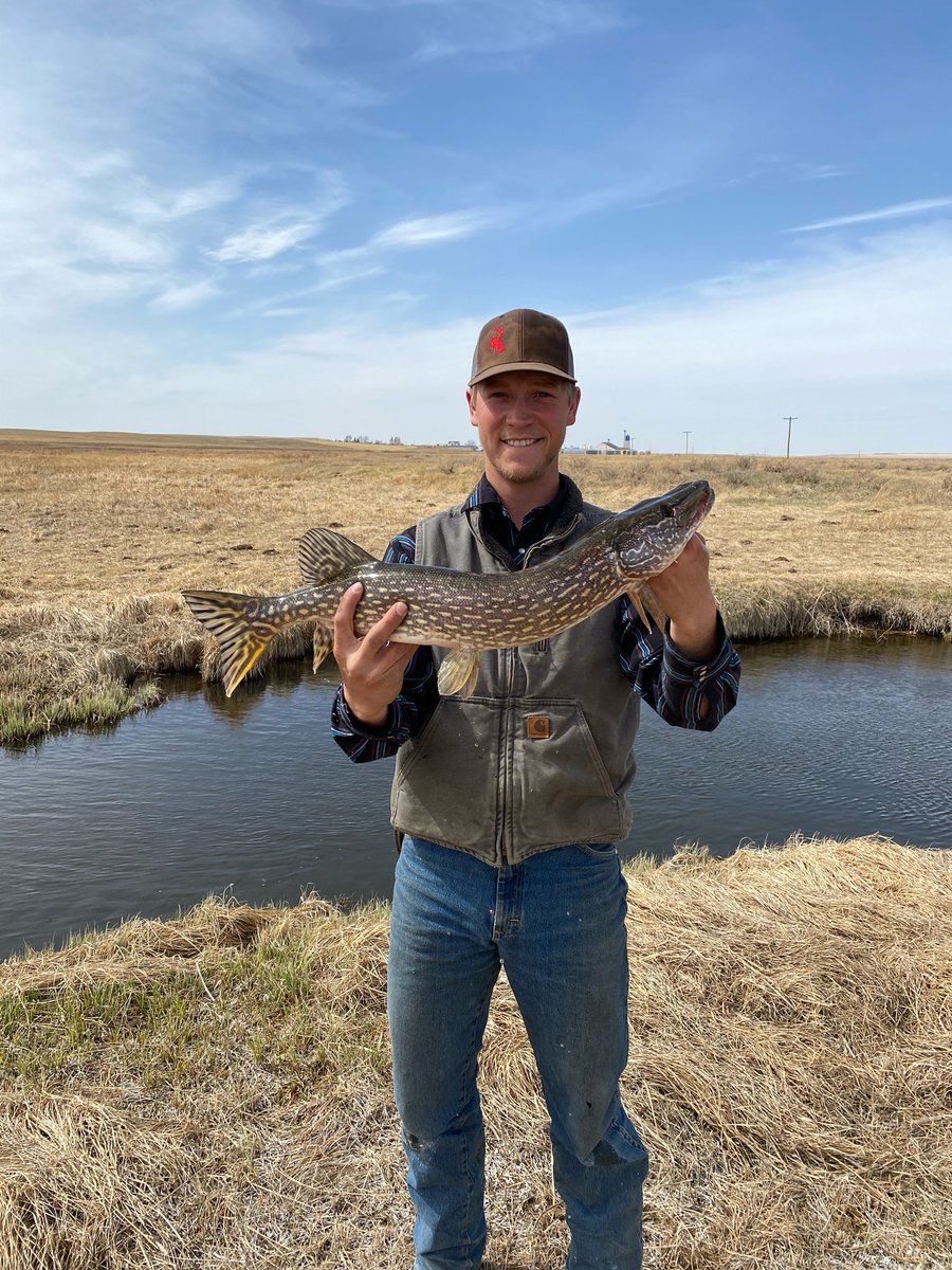 Brenda Huglen tweet media