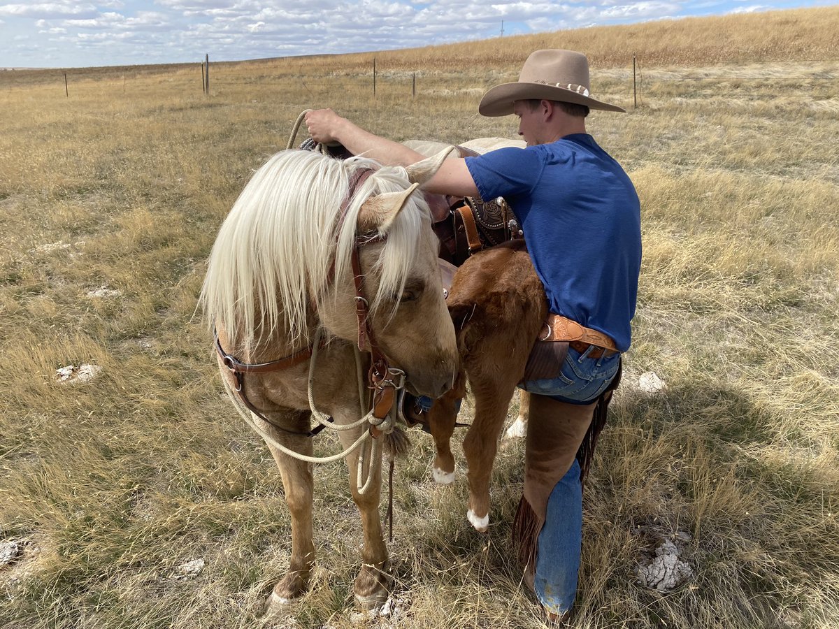 Brenda Huglen tweet media