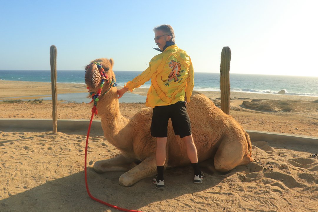 Let’s be basic this weekend.