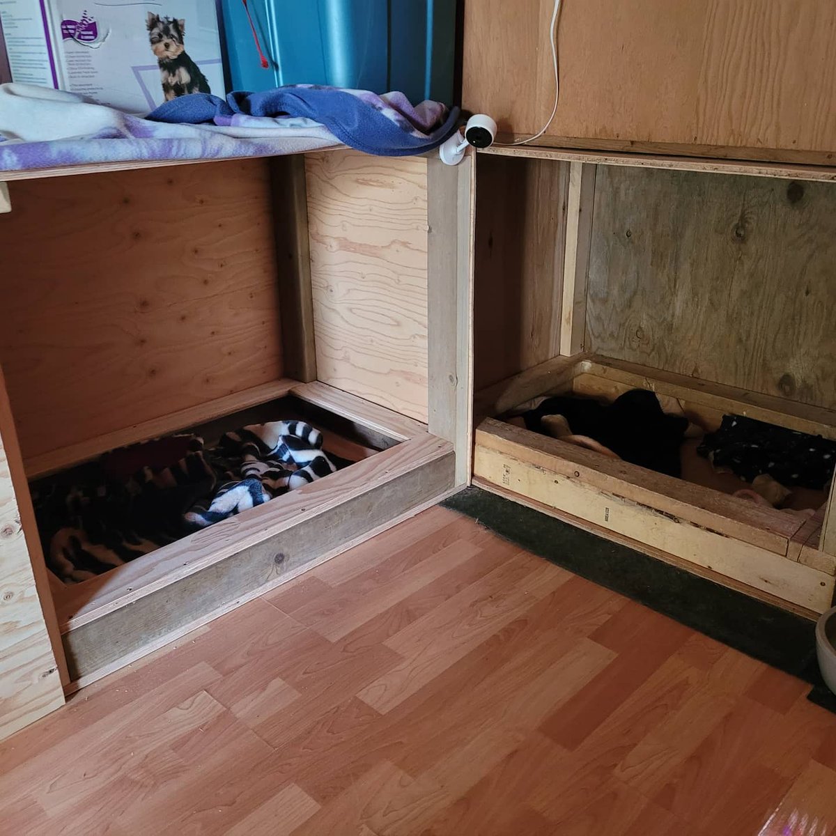 ForgotnGoGo's tweet image. 