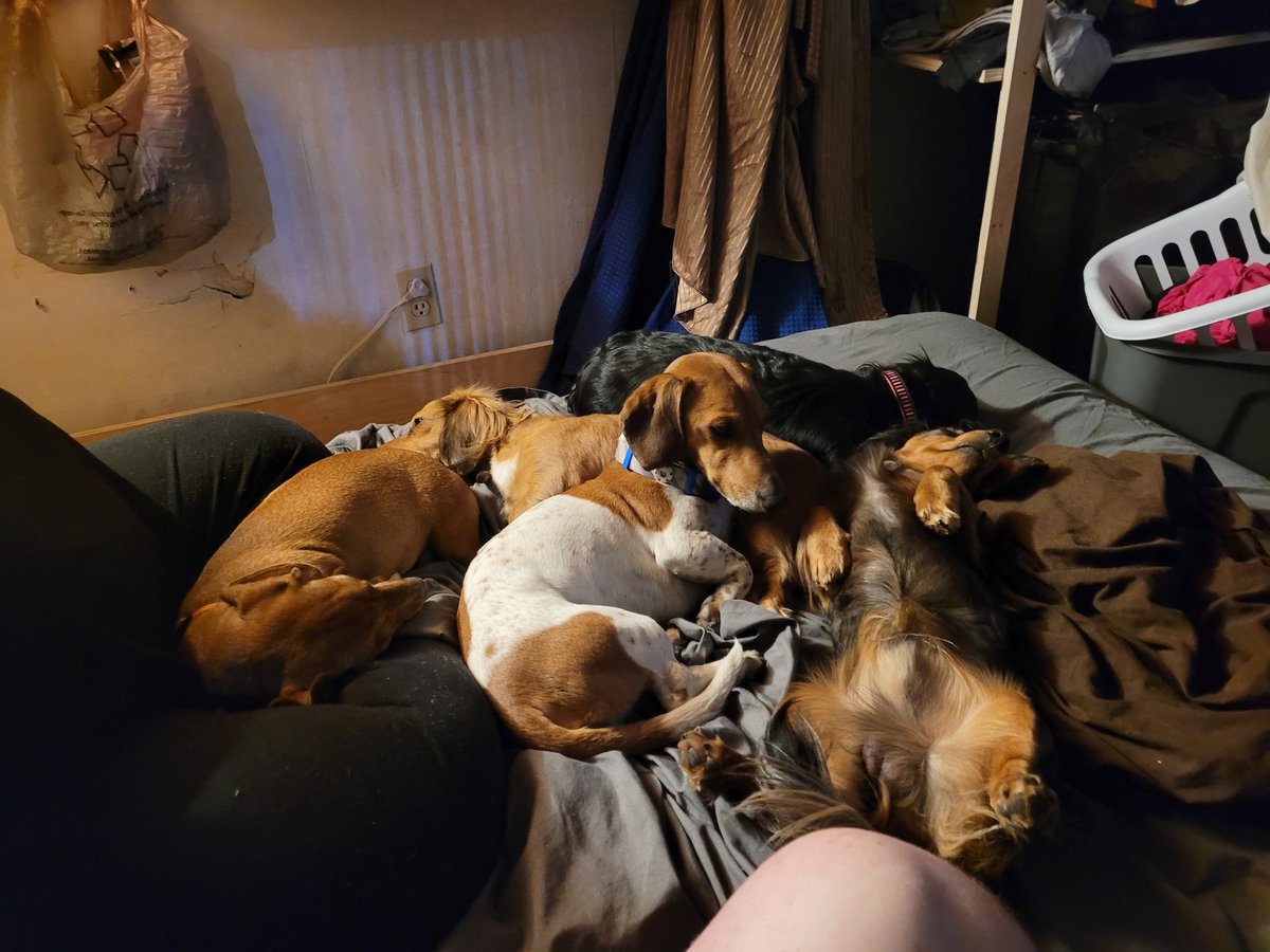 ForgotnGoGo's tweet image. 