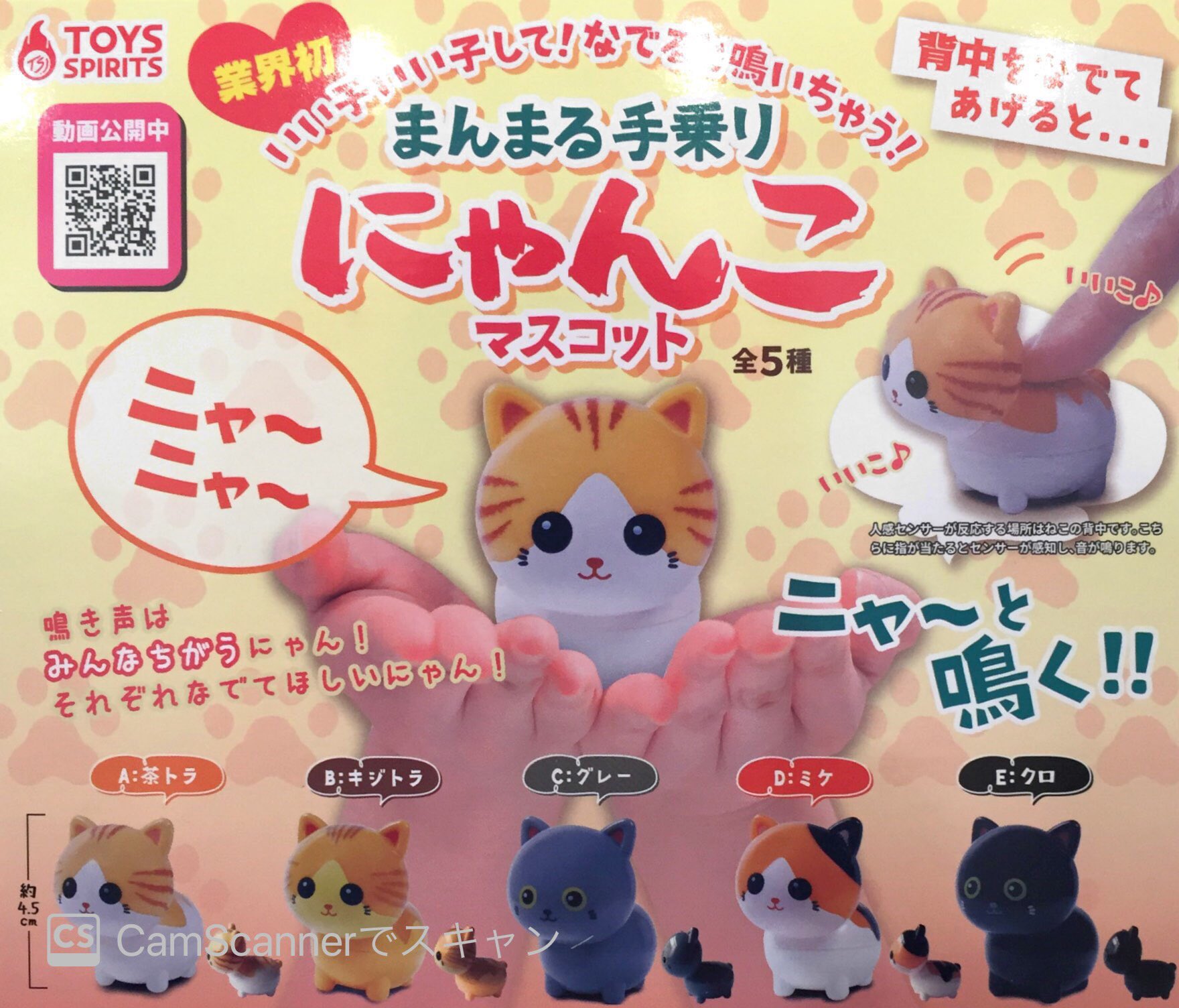 ドリームカプセルイオンモール松本 5 30 日 新入荷情報 しおひガールズ 吹き出しアクリルキーチェーン2 いい子いい子して なでると鳴いちゃう まんまる手乗りにゃんこマスコット ドリームカプセル ドリームカプセル松本店