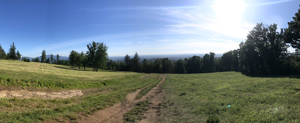 Lorrie Burnham tweet media