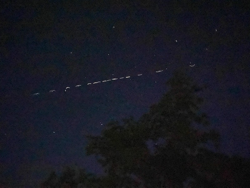 RawkStarzanne's tweet image. South of Garden City Mo!