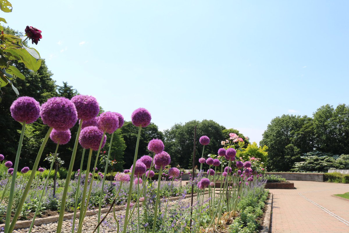 とちぎわんぱく公園