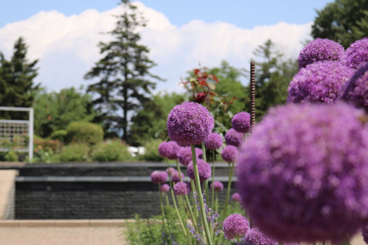 とちぎわんぱく公園