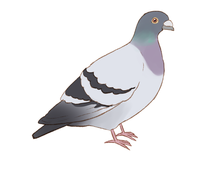 ドバトのtwitterイラスト検索結果 ドバトのtwitterイラスト検索結果