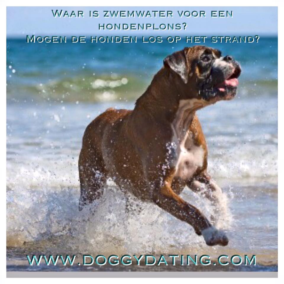 In welk losloopgebied is zwemwater voor een hondenplons? Waar mogen de honden los op het strand? Je vindt het allemaal in de DoggyDating aap en op doggydating.com/hondenlosloopg… 😃😀😀
Dit bericht mag gedeeld worden 😉
#hondenplons  #losloopgebieden  #honden   #hondenstrand #doggydating