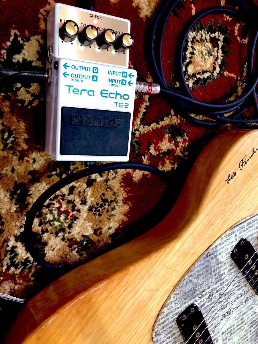 zozoningen's tweet photo. 夕方です。

音withさんからお借りしているTera Echoというエフェクターを試し弾きしてました。

スペーシーなリバーヴって感じで面白いですね。
音で表すと「ビュュルルルゥーンジュワワワーシャーッス…」です。

変態ギタリストの方は是非@
#onwith_japan https://t.co/cPHP3QrbjG