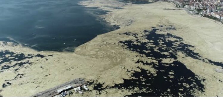 Marmara denizine bak bak ağla ..
“Uyuyan marmaranın koynuna artık şarkılarda girersin” 
Bir kurtarma planı? 
Bir organizasyon?
Bir falanca filanca arıtma, islah ,yasak?