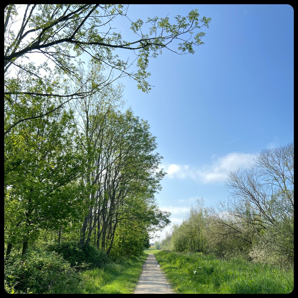 MonirahSchep's tweet photo. Het zal je 'bijna achtertuin' zijn... 
🍀🌞🐕‍🦺
#ochtendwandeling #Hitlandbos #Stapper https://t.co/CNVIBTnKsB