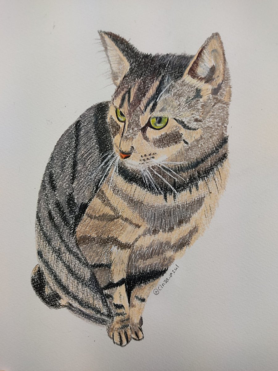 Twoucan 猫の絵 の注目ツイート イラスト マンガ コスプレ モデル