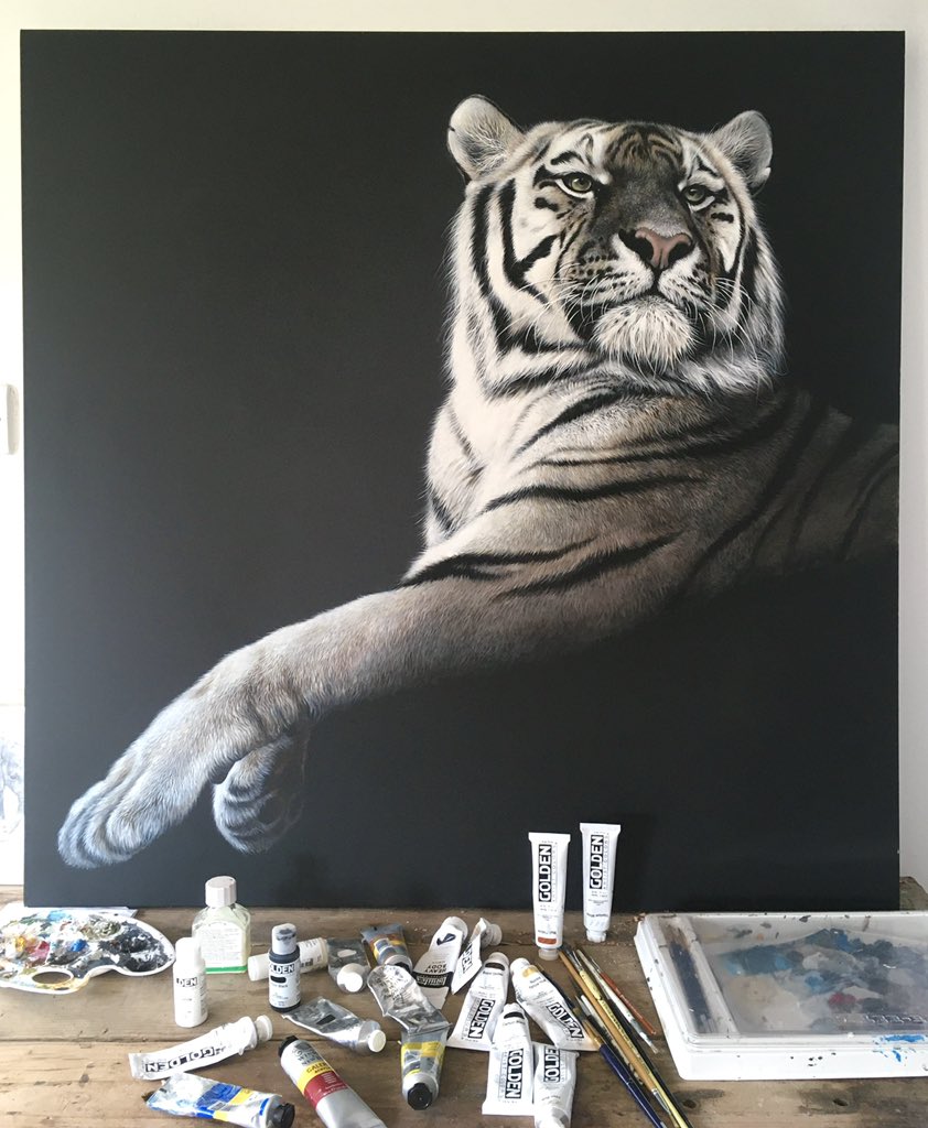 Studio is actually sort of tidy this week!  Don’t know how that happened 😂

#tiger #tigerpainting #artistsontwitter #painter #artstudio #sundayart #studiopainting #animalartist #wildlifeart