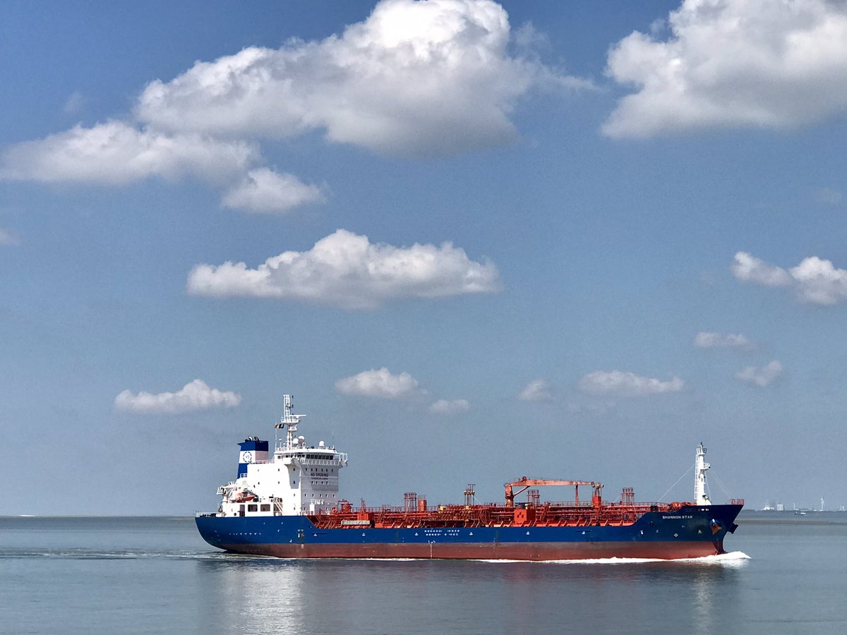 hon_joke's tweet photo. Langs de Westerschelde bij Terneuzen gisterenmorgen #zeekool foto 4 https://t.co/7atRxZoeYw