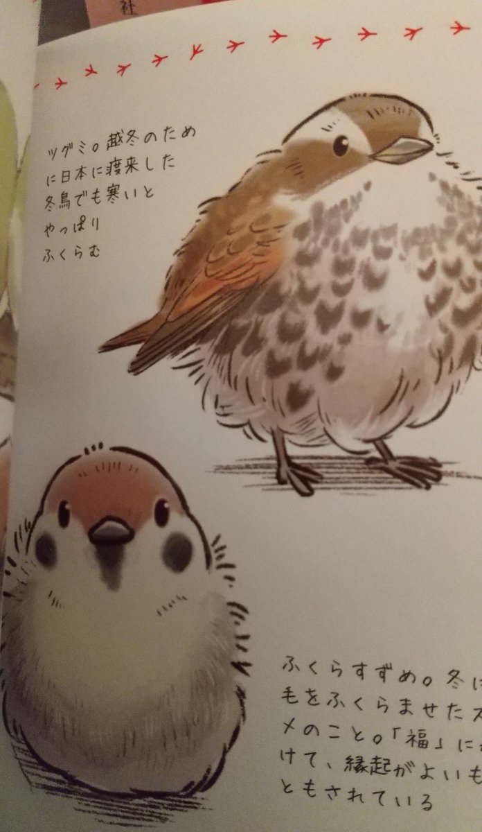 身近な鳥の生きざま事典 Twitter Search