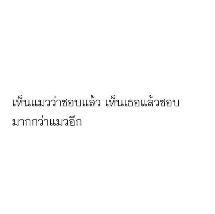 Bassder_4's tweet photo. #บอทหาเพื่อน #บอทหาทุกอย่าง #บอทหาคนคุย #บอทหาเดมประจํา #เรียลชาย #บอทชาย https://t.co/H6hBClhNFJ