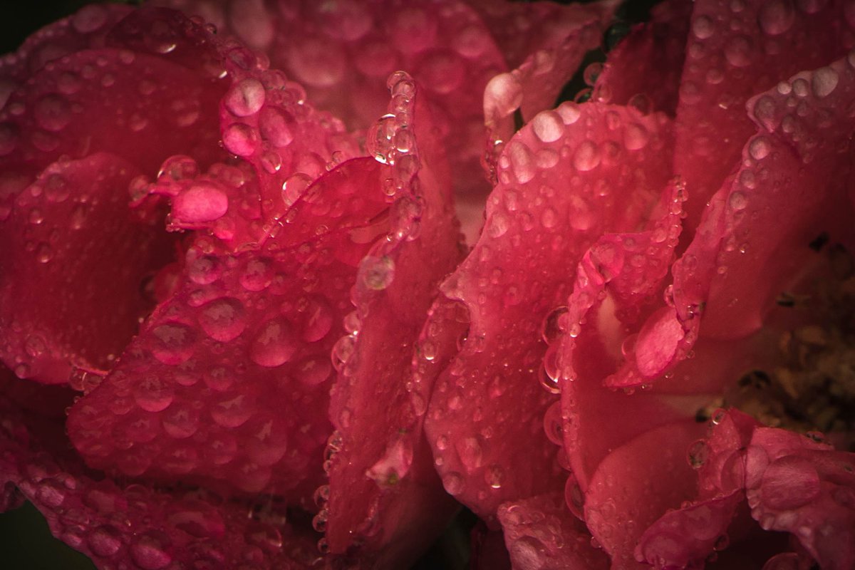 Regis CHUPIN (@chupinregis) on Twitter photo 