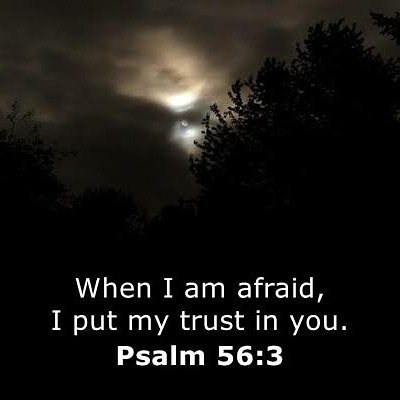O God... when I am afraid, I will put my trust in You. Psalms 56:3 NLT #daysoftrouble #pandemic #covıd #itrustingod