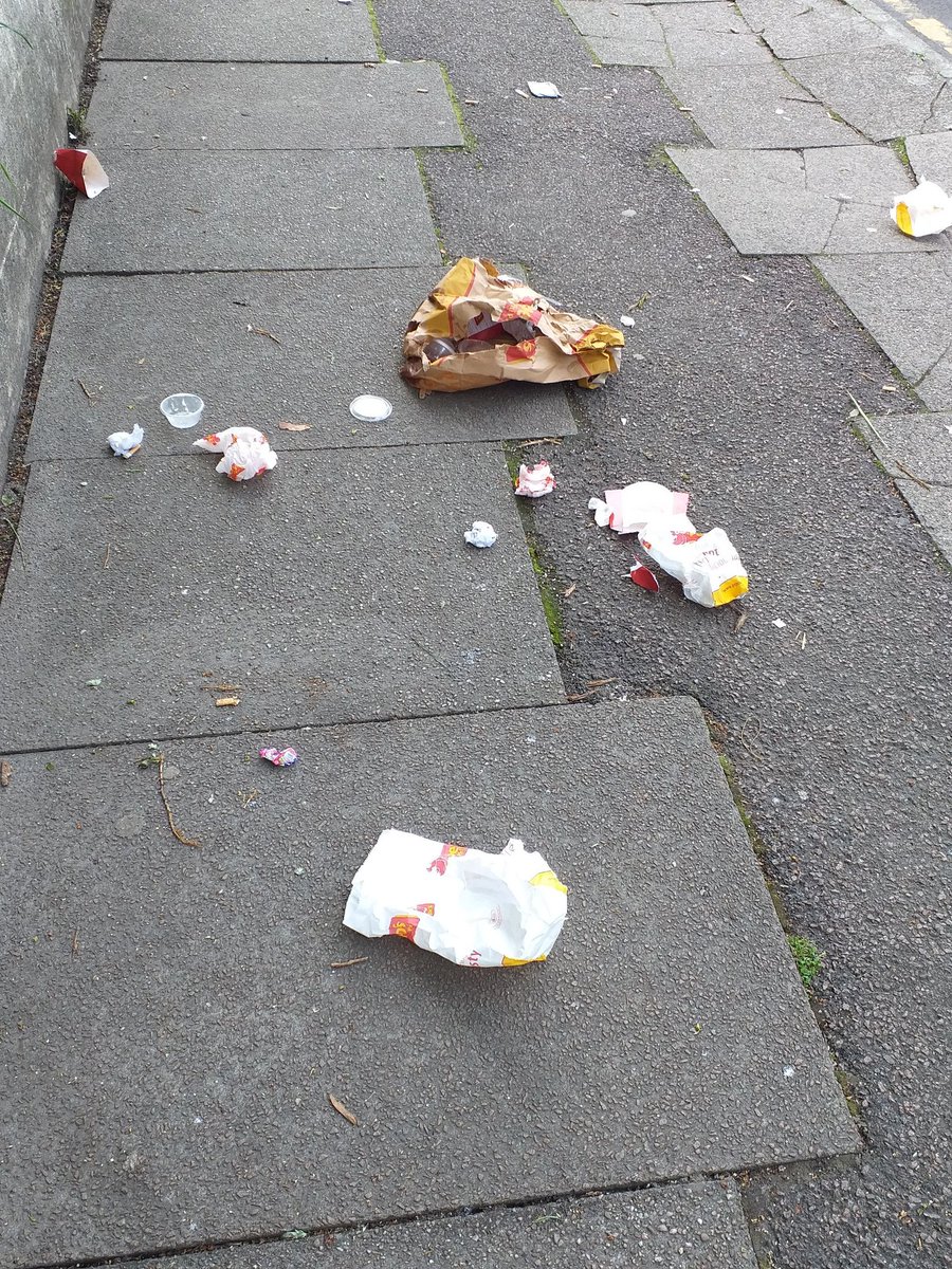 SheffLitterPick's tweet image. We often find these things on the street, side by side. The paper footprint thing is what car valeters leave in the footwell after a clean. Nice car, very mucky street 🤨 #litter @McDonaldsUK