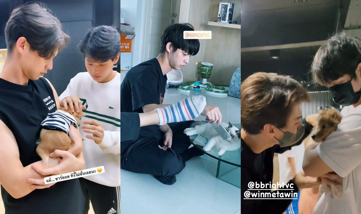 __opywpy__'s tweet photo. 最美的畫面👶🏻👶🏻🐶🐱🐶
(看了一下時間才下午四點多 今天還很漫長 放心了😌)
#ไบร์ทวิน https://t.co/eGYz3XbIh0