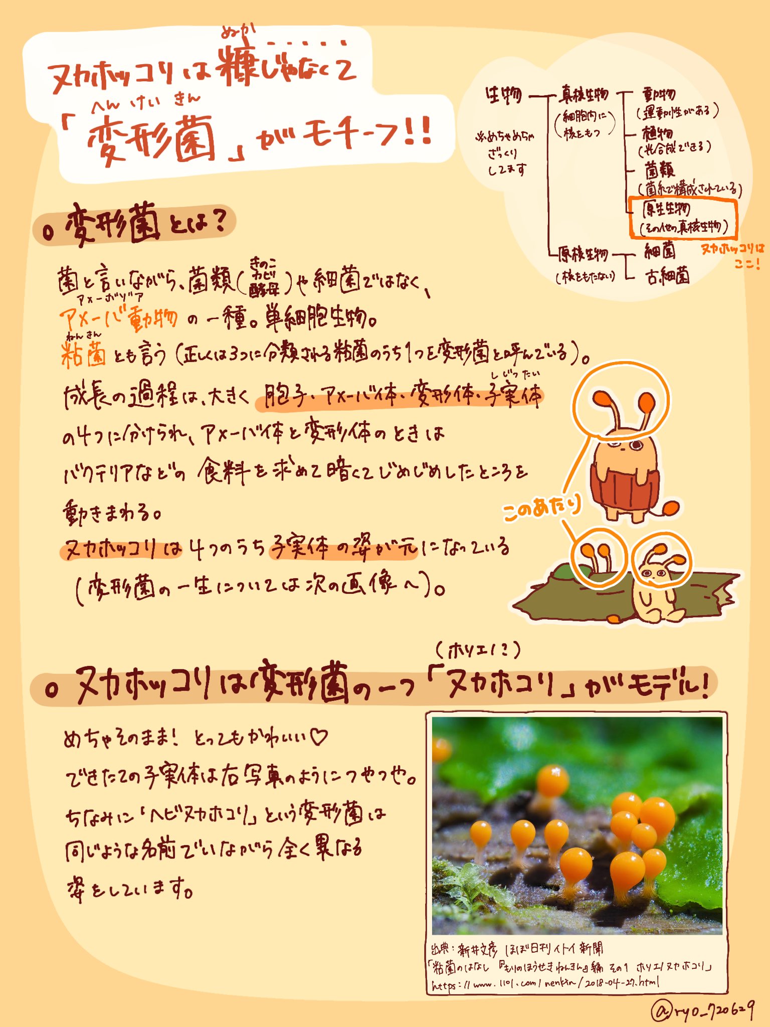 涼 Ryo 7629 Twitter