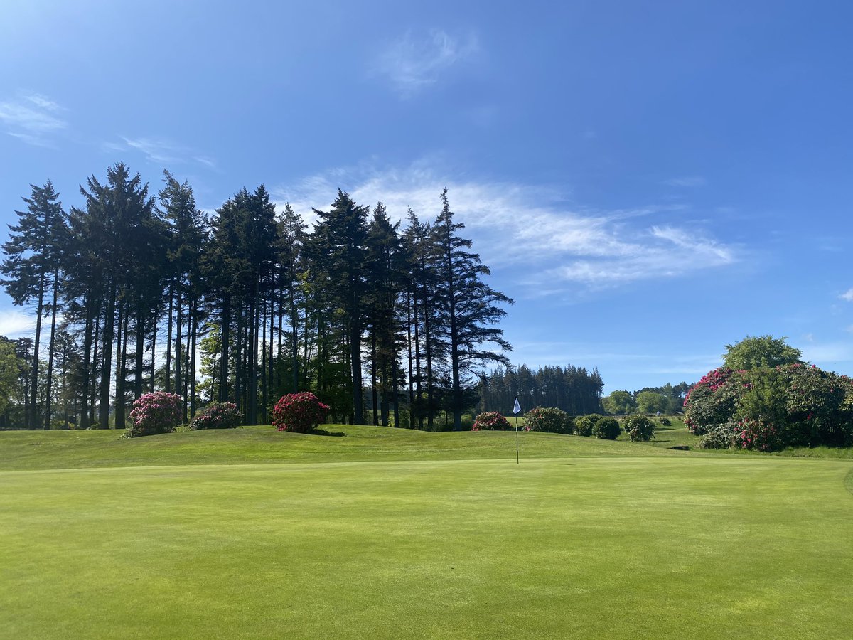 Slaley Hall tweet media